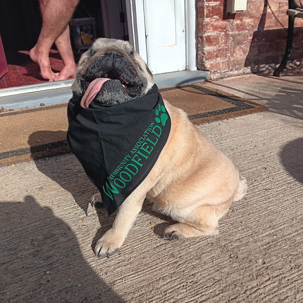 WOODFIELD Dog Bandana