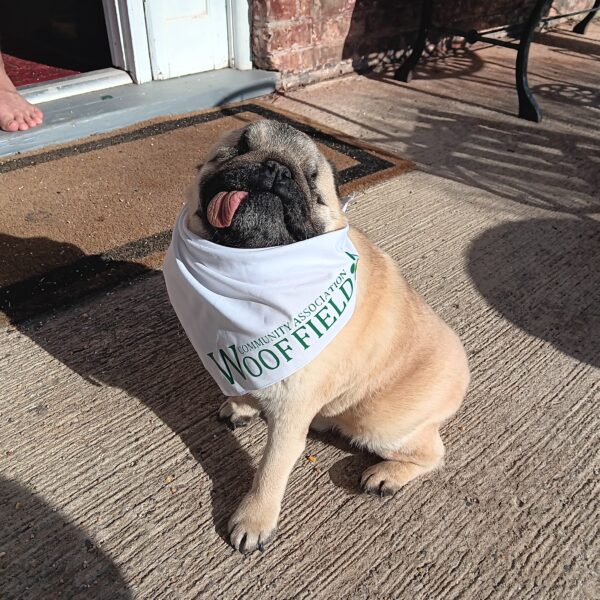 WOOFFIELD Dog Bandana
